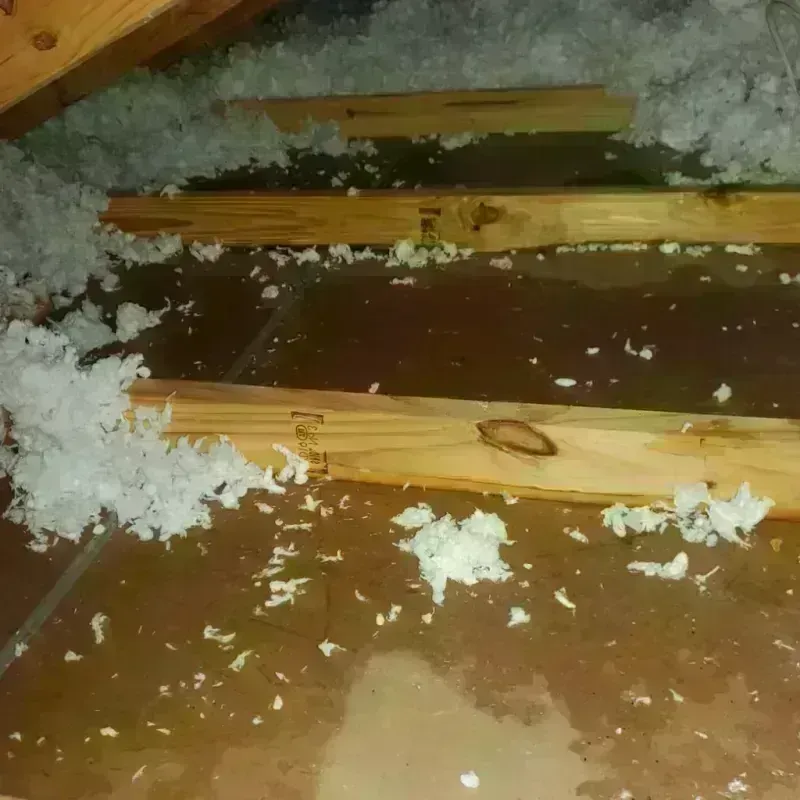 Attic Water Damage in Soulsbyville, CA